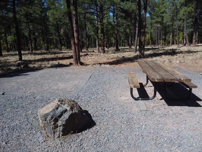 Site 18 pictured with a table and rock in the area.Campsite 18