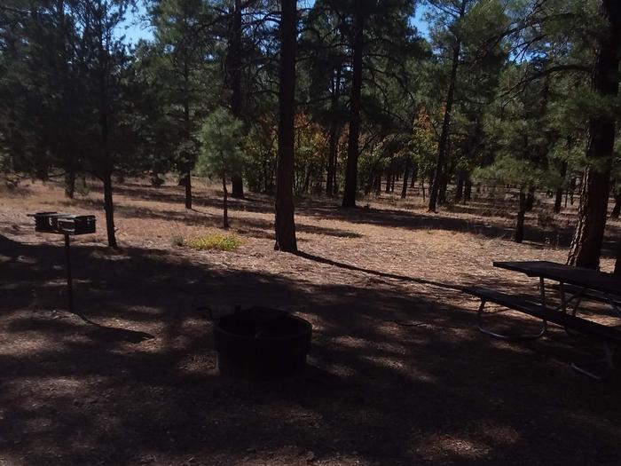 Toroweap Loop Site 17 partially shaded with picnic table, grill and fire pit