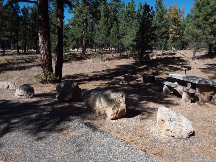 Toroweap Loop Site 18 partially shaded with picnic table, grill and fire pit