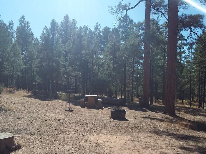 Toroweap Loop Site 20 partially shaded with picnic table, grill and fire pit