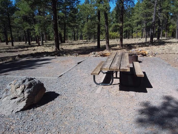 Site 20 rock and table in gravel area, with trees behind them.Campsite 20