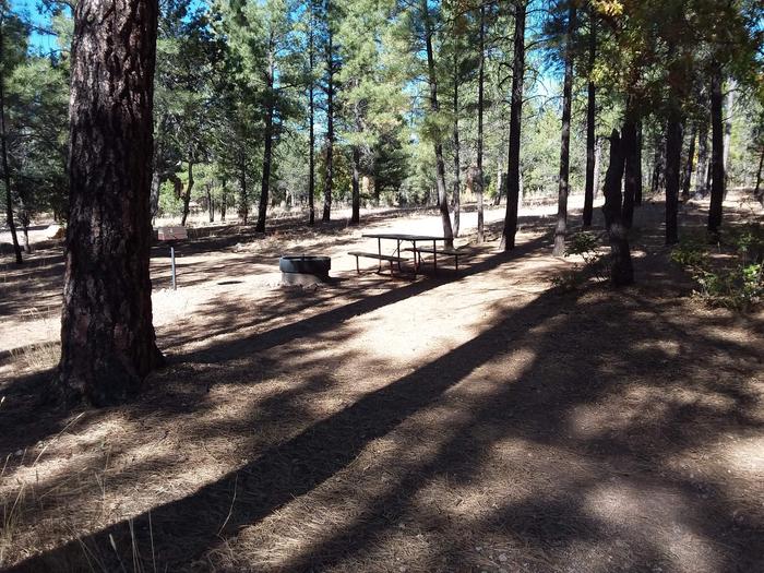 Squirrel Loop Site 10 partially shaded with picnic table, grill and fire pit