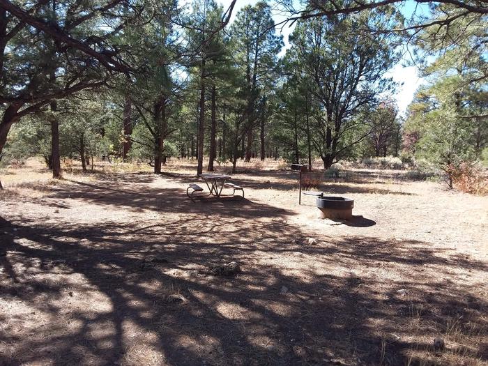 Hermit Loop Site 31 partially shaded with picnic table, grill and fire pit