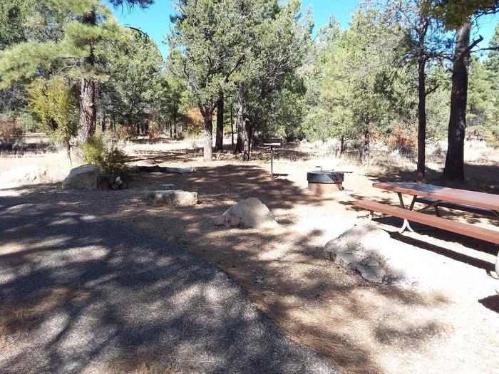 Hermit Loop Site 31 partially shaded with picnic table, grill and fire pit
