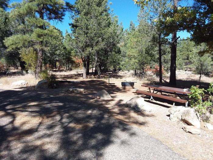 Raven Loop Site 41 partially shaded with picnic table, grill and fire pit