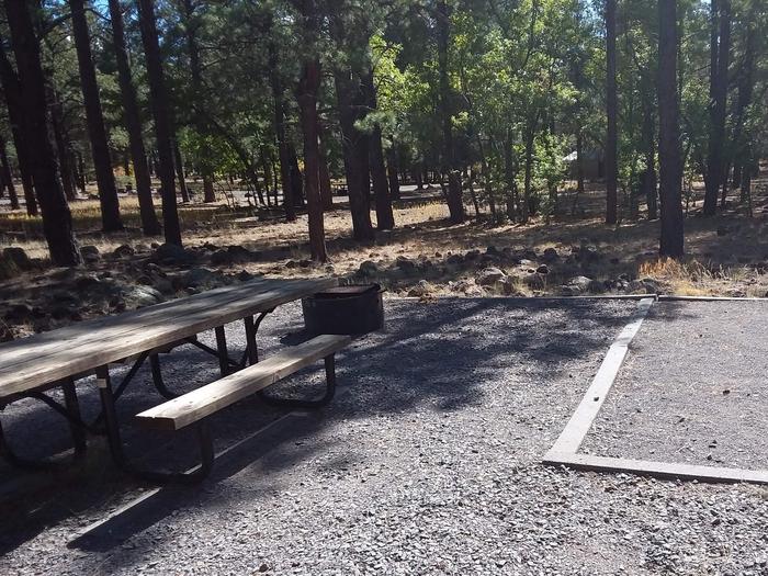 Site 23 with picnic table and campfire ring with treesCampsite 23