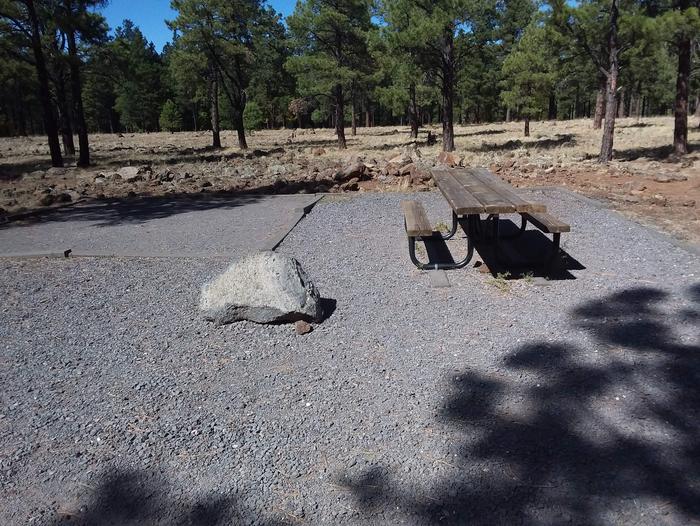 Site 24 table, and rock in the gravel area, and tree lineCampsite 24