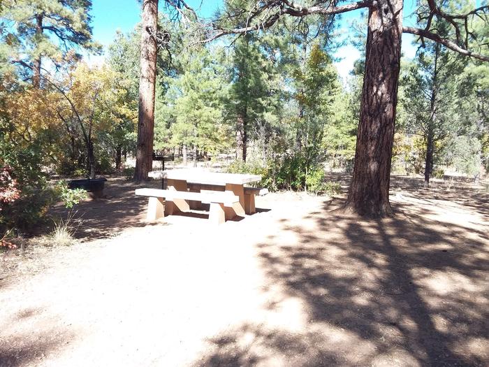 Raven Loop Site 38 partially shaded with picnic table, grill and fire pit