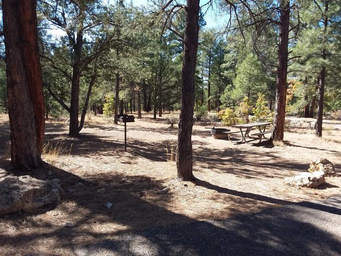 Raven Loop Site 36 partially shaded with picnic table, grill and fire pit