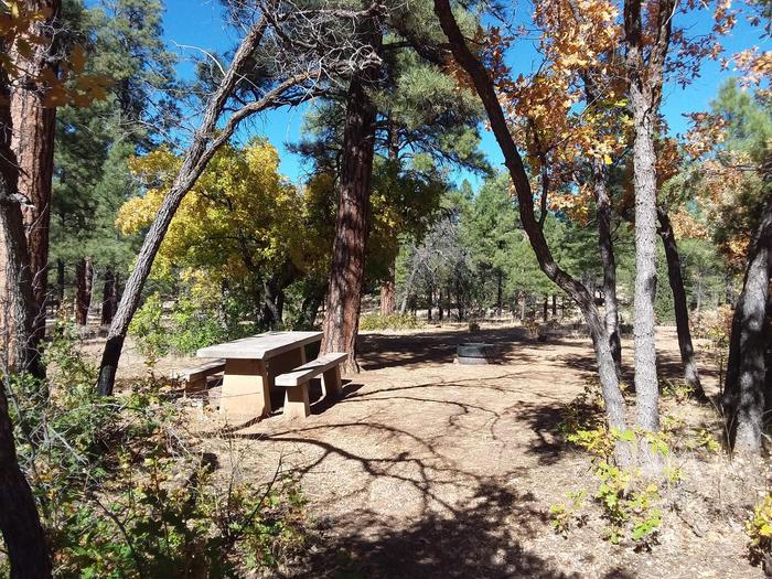 Hermit Loop Site 40 partially shaded with picnic table and fire pit