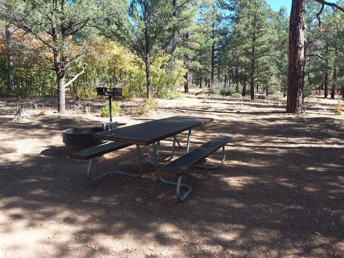Raven Loop Site 30 partially shaded with picnic table, grill and fire pit