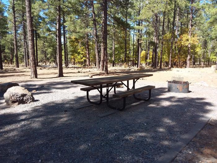 Site 34 table and fire ring, next to trees.Campsite 34