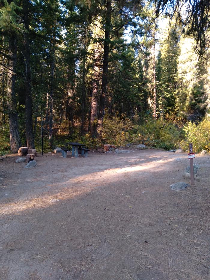 A campsite in the woods.Ten Mile Site 14