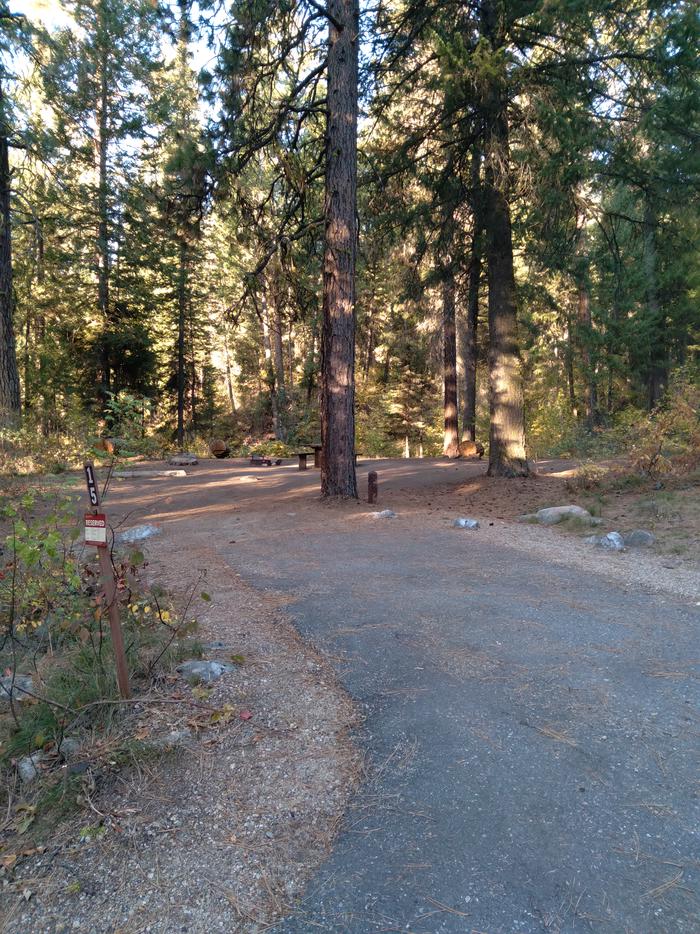 A campsite in the woods with a long paved drivewayTen Mile Site 15
