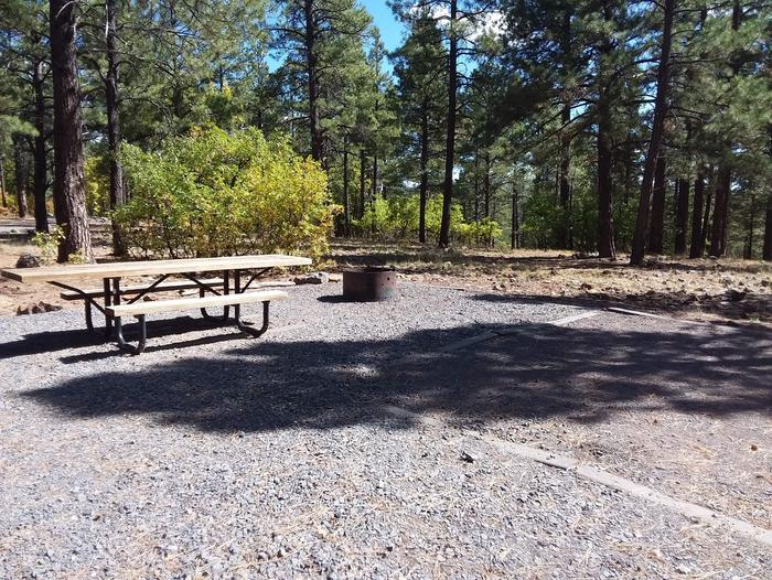 Site 35 table and campfire ring with a surrounding of trees.Campsite 35 