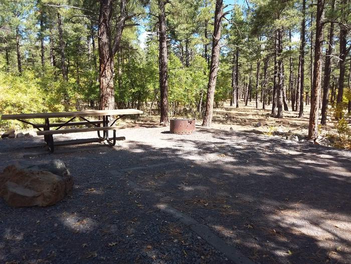 Site 38 with trees shade over the table and has a campfire ringCampsite 38
