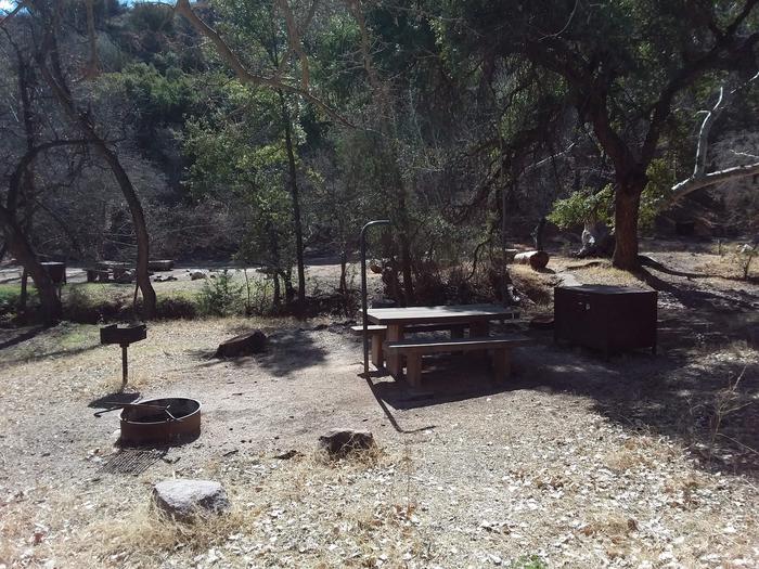 Site 1 with a campfire ring, picnic table, lantern pole, camp grill, and food storage.