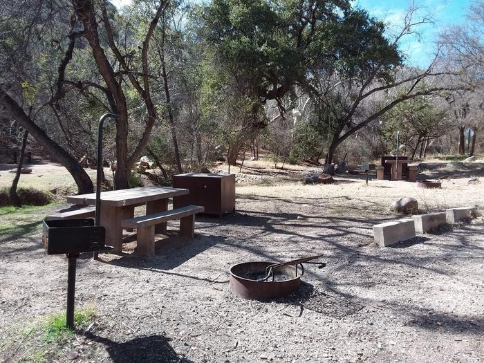 Site 2 with a picnic table, fire ring, camp grill, lantern pole, and bear-proof food storage.