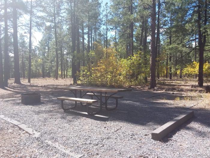 Site 42 table and fire ring and behind it is trees Campsite 42
