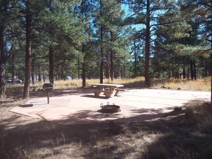 Loop A Campsite 10 partially shaded with a picnic table, grill and fire ring