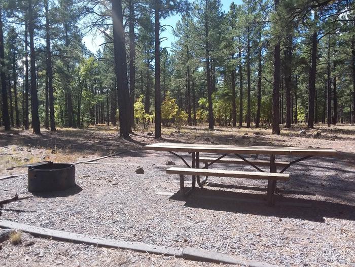 Site 44 including a picnic table and fire ring. Campsite 44