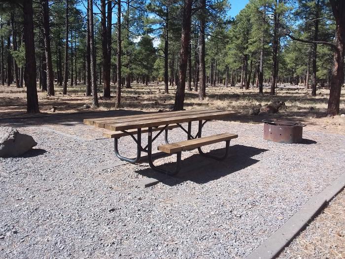 Site 45 with a table and campfire ring facing treesCampsite 45