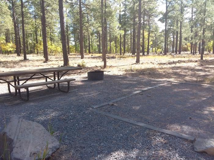 Site 47 against a line of trees, with a table, and fire ring.Campsite 47