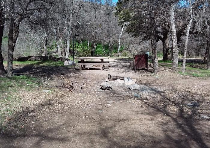 Site 8 with a picnic table, fire ring, food storage, camp grill, and a lantern pole.