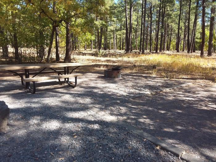 Site 49 table and fire ring surrounded by trees.Campsite 49