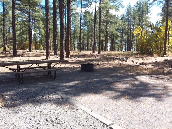 Site 51 with shade over a table and campfire ring with trees.Campsite 51