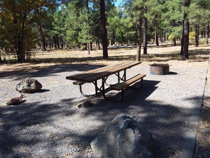 Site 52 with rocks, table and fire ring next to trees.Campsite 52