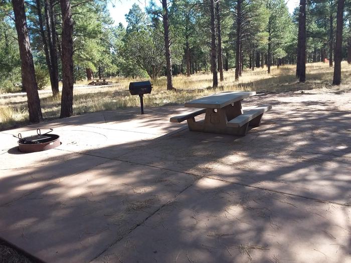 Loop B Campsite 15 partially shaded paved area with a picnic table, grill and fire ring