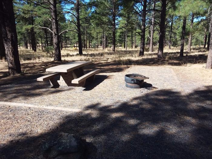 Loop B Campsite 19 partially shaded with a picnic table and fire ring