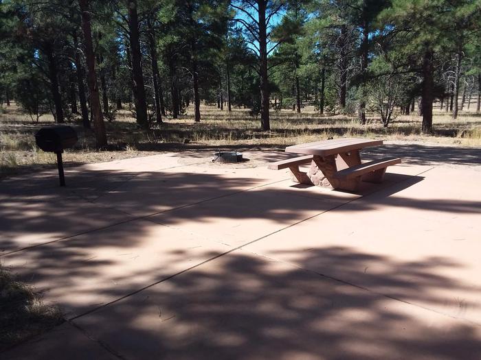 Loop B Campsite 21 partially shaded paved area with a picnic table, grill and fire ring