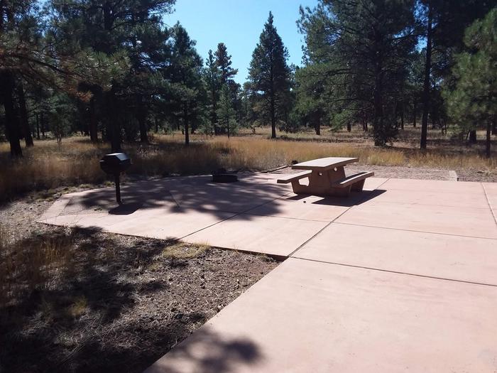 Loop B Campsite 22 partially shaded paved area with a picnic table, grill and fire ring