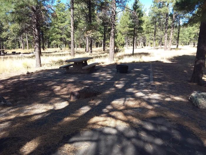 Loop B Campsite 25 partially shaded with a picnic table and fire ring