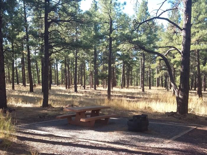 Loop C Campsite 30 partially shaded with a picnic table and fire ring