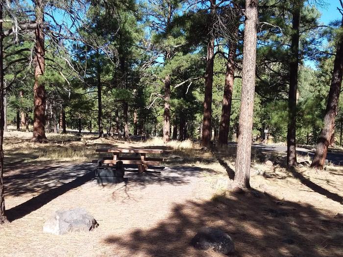 Loop C Campsite 34 partially shaded with a picnic table and fire ring