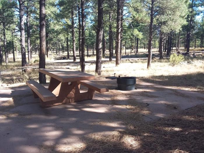 Loop C Campsite 41 partially shaded with a picnic table and fire ring