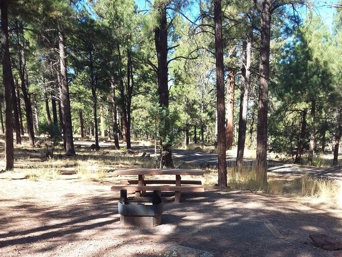 Loop C Campsite 42 partially shaded with a picnic table and fire ring