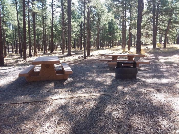 Loop C Campsite 43 partially shaded with picnic tables and a fire ring
