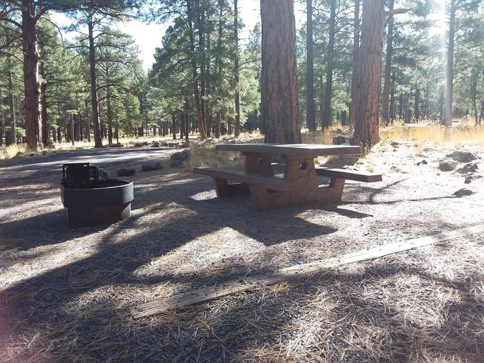 Loop C Campsite 45 partially shaded with a picnic table and fire ring