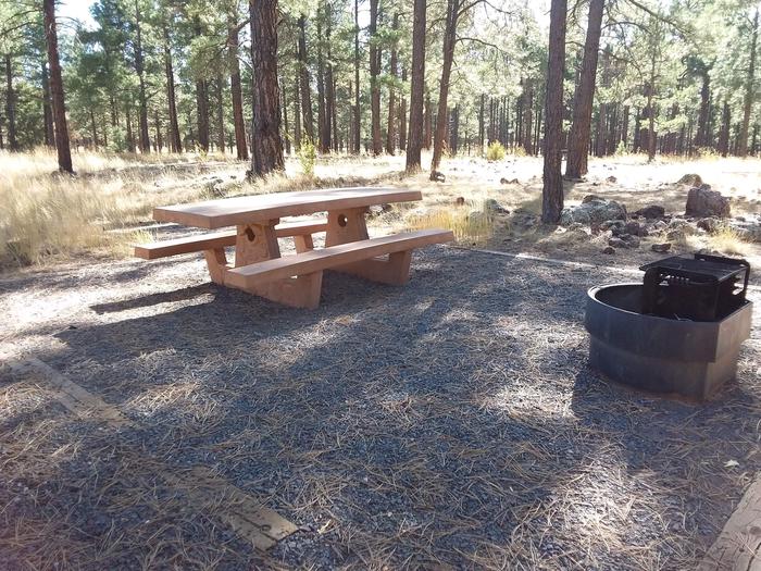 Loop D Campsite 47 partially shaded with a picnic table and fire ring