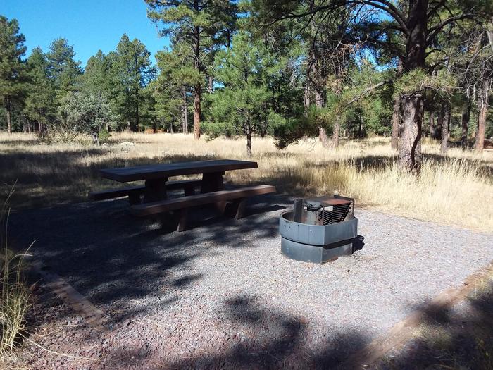 Loop D Campsite 49 partially shaded with a picnic table and fire ring