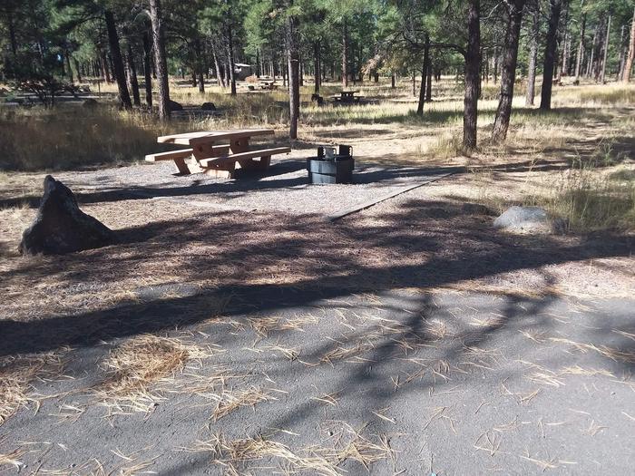 Loop D Campsite 55 partially shaded with a picnic table and fire ring