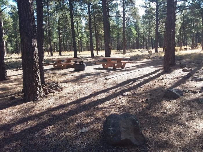 Loop D Campsite 56 partially shaded with picnic tables and a fire ring