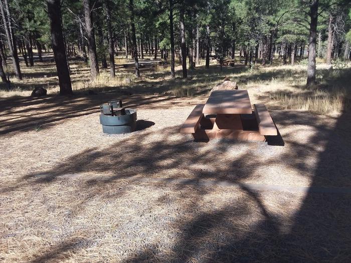 Loop D Campsite 58 partially shaded with a picnic table and fire ring