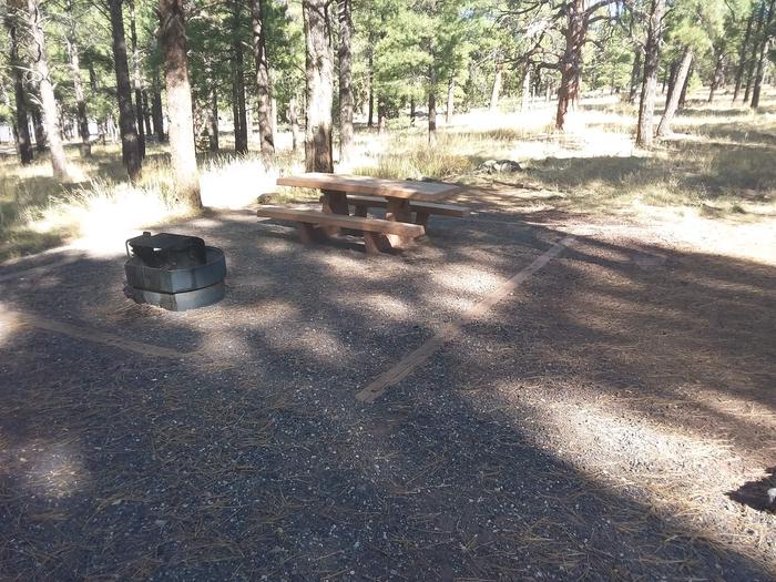 Loop D Campsite 60 partially shaded with a picnic table and fire ring