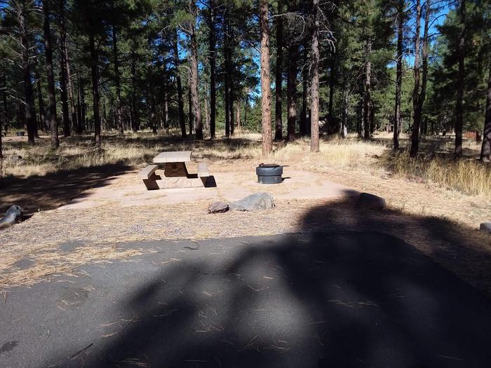 Loop E Campsite 67 partially shaded with a picnic table and fire ring