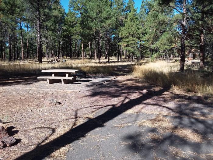 Loop E Campsite 68 partially shaded with a picnic table and fire ring